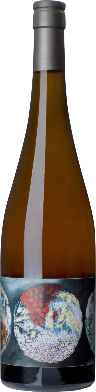 Vignoble du Rêveur Un Instant sur Terre