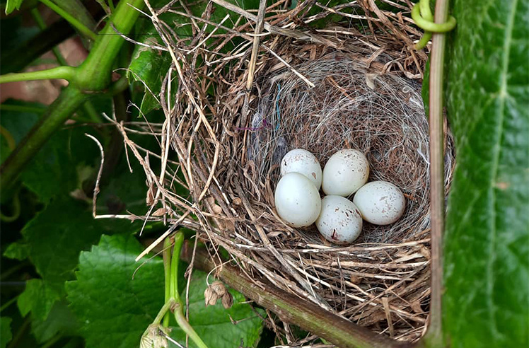 search-block-list-11