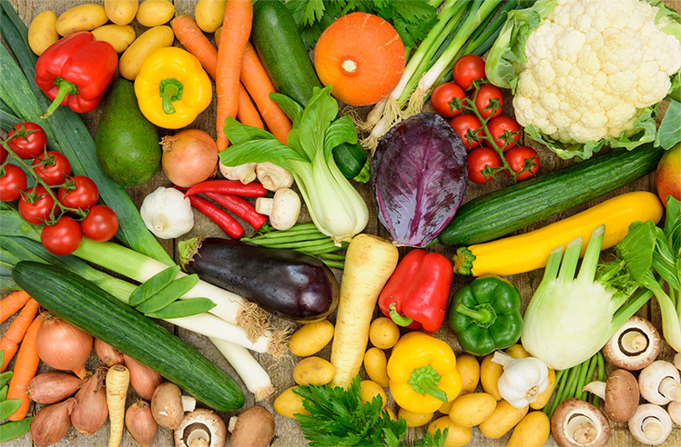 search-block-list-12